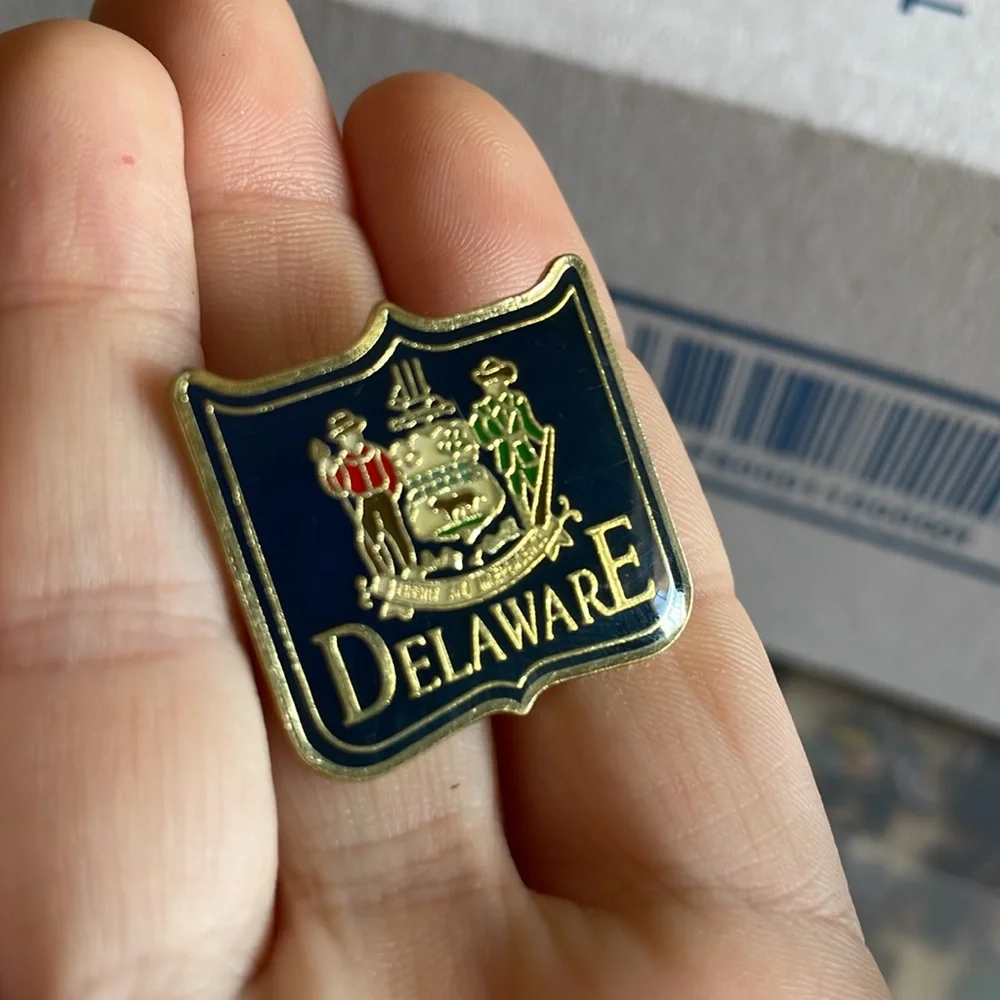 Bundle of 5 Delaware Themsed Pins‎